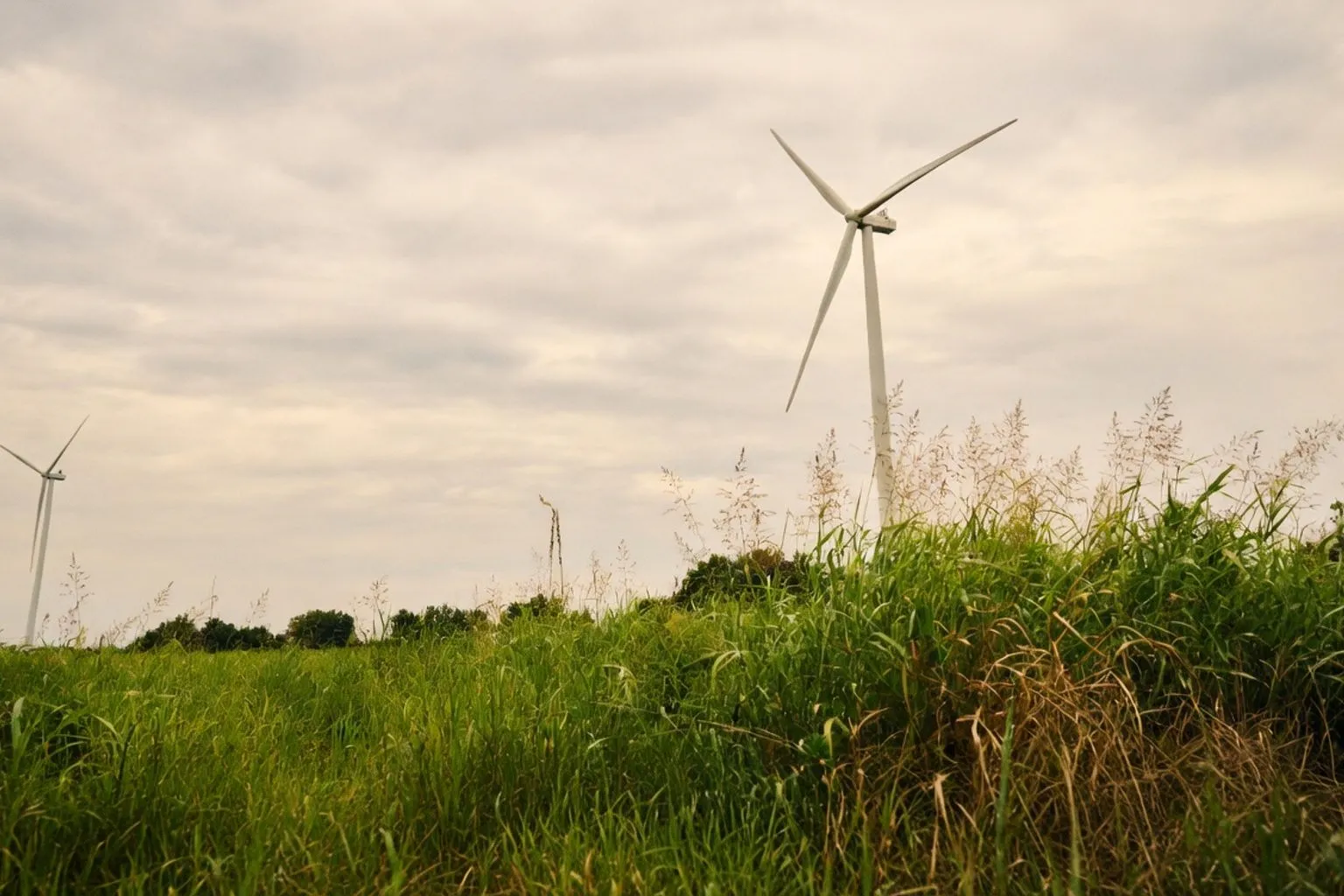 Industrial Expansion West of Katy: Why Vestas and Grundfos Are Reshaping the Corridor