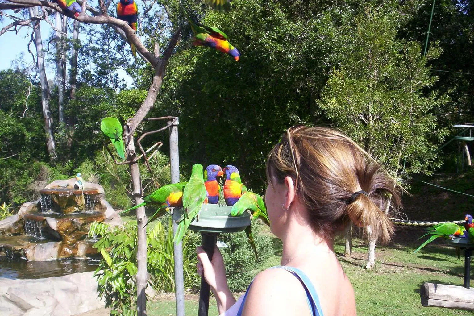 Lone Pine Koala Sanctuary: Official site vs. OTA tickets