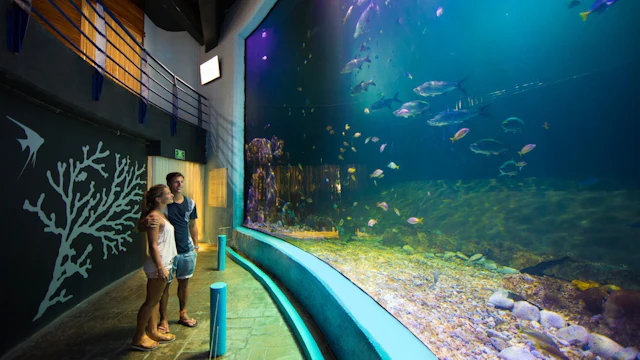 Interactive Aquarium Cancún