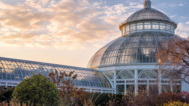 New York Botanical Garden